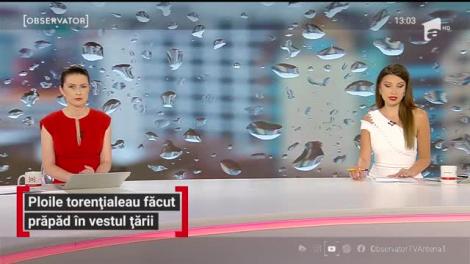 Ploile torențiale au făcut prăpăd în vestul țării