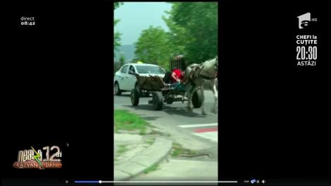 Smiley News: Un bărbat şi-a pus căruţa pe "pilot automat" şi a tras un pui de somn până la destinaţie