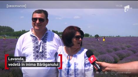 Lanurile de lavandă pline de culoare şi parfum nu sunt un peisaj de care să ne bucurăm doar peste hotare. Găsim şi în România un astfel de decor care are şi propriul festival