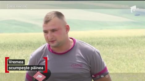 România ar putea fi lovită de un val uriaș de scumpiri! Producătorii anunță creșteri masive în perioada următoare din cauza vremii care distruge recoltele