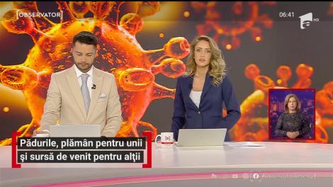 DNA-ul pădurilor, pe masa președintelui. Proiectul a primit aviz negativ de la CSM pentru că nu are o sursă de finanţare