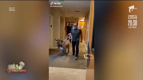 Veteranii s-au REINVENTAT! Maria Dragomiroiu le dă clasă tinerilor pe TikTok