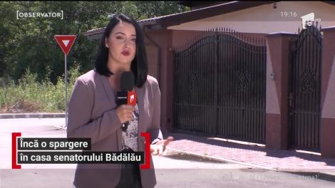 Furt cu repetiție, în familia senatorului Nicolae Bădălău