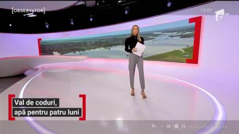 Valul record de coduri roşii a semănat din nou prăpăd în ţară