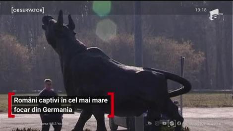 Români captivi în cel mai mare focar din Germania