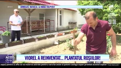 Viorel a făcut spectacol! Soţul Vulpiţei a făcut prăpăd în curtea familiei Mariei Ghinea