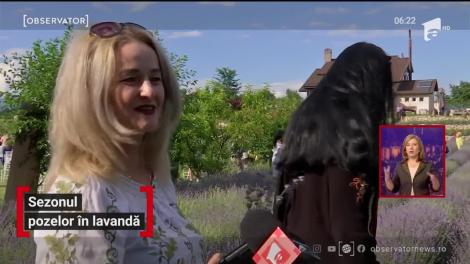 Sezonul pozelor în lavandă, într-un decor rupt dintr-un basm, în Târgu Jiu