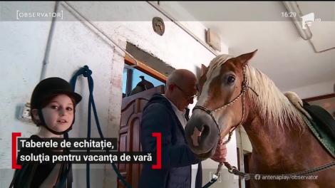 Taberele de echitație. soluția pentru vacanța de vară