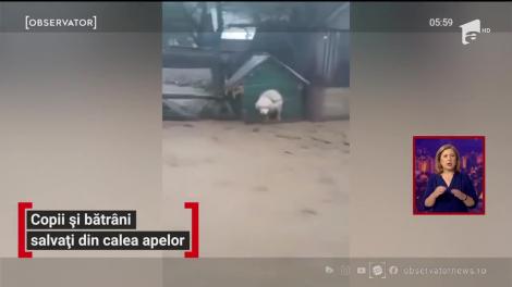 Copii și bătrâni salvați din calea apelor. Ploile le-au distrus complet locuințele