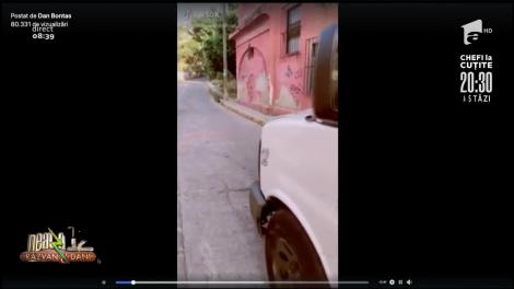 Smiley News: Cum arată omul total dezinteresat care vrea să-și ajute semenii