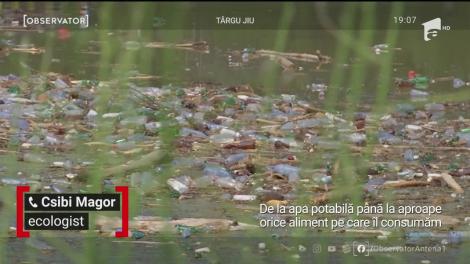 Furia naturii scoate la suprafaţă nepăsarea oamenilor. Jiul ieşit din matcă a adus cu el şi tone de gunoaie