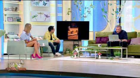 Râzi cu lacrimi! Bătaie sau dans popular? Doi iepuri fac senzație pe internet! |Video