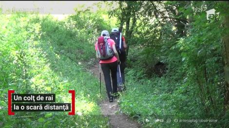 Un colț de rai la o scară distanță