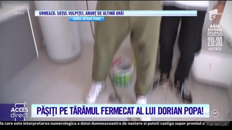 Dorian Popa, vilă de 450.000 de euro?