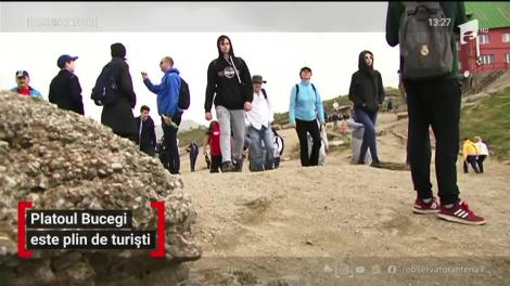 Platoul Bucegi, plin de turiști în fiecare zi