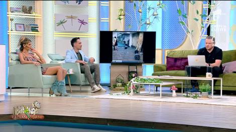 Smiley News: Cum se taie un copac înalt, exerciții extreme și mistrețul neprietenos