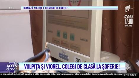 Colegi de clasă la șoferie! Vulpiţa şi Viorel Stegaru s-au pus serios cu burta pe carte. Cum s-au descurcat la prima oră de legislație rutieră | VIDEO