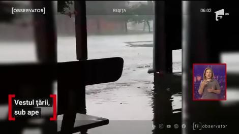 Inundațiile au făcut ravagii în Vestul ţării. Mai multe judeţe au fost sub avertizare de vreme rea