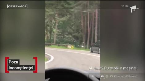 În goana după cât mai multe like-uri pe Instagram, o tânără s-a apropiat periculos de un urs