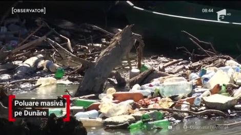 Poluare masivă pe Dunăre