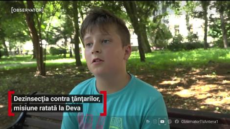 Dezinsecția contra țânțarilor, misiune ratată la Deva