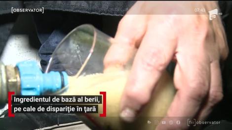 Ingredientul de bază al berii, pe cale de dispariție în țară