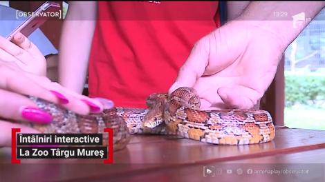 Întâlniri interactive la Zoo Târgu Mureș