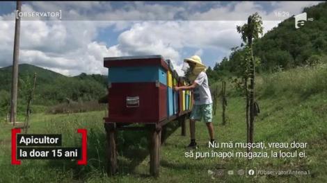 Apicultor la doar 15 ani