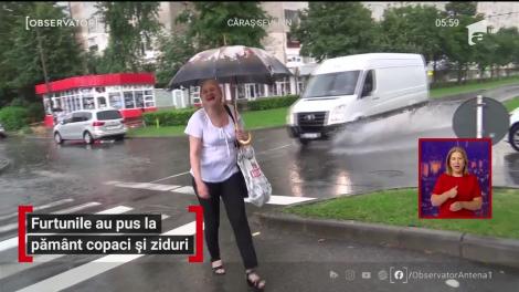 Furtunile au pus la pământ copaci și ziduri