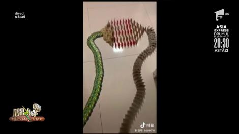 Smiley News: Cum să distrează chinezii în timpul liber