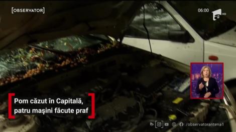 Pom căzut în Capitală, patru mașini făcute praf