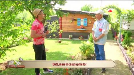 În copilărie îți doreai să stai în căsuța piticilor? În Otopeni găsești renumita căsuță din povești construită de un pensionar