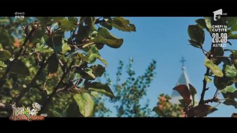 Viorica Macovei cântă, la Neatza, melodia "Satul meu din Bucovina"