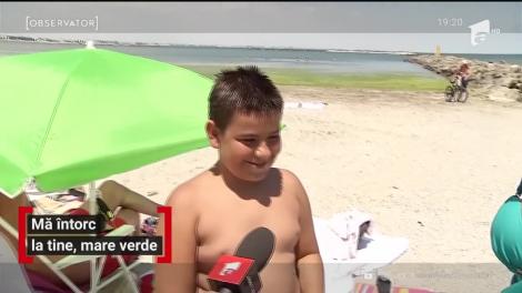 Turiştii care merg în Mamaia dau testul mirosului. O mare de alge s-a revărsat pe plajă