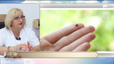 Sfatul specialistului! Începe sezonul muşcăturilor de CĂPUȘE. Cum ne ferim de ”boala cu 1.000 de feţe”? | VIDEO