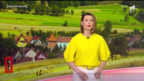 Cascada de pe Valea Rea, comoara ascunsă a Hunedoarei