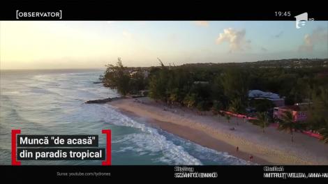 Turism de muncă, în Caraibe