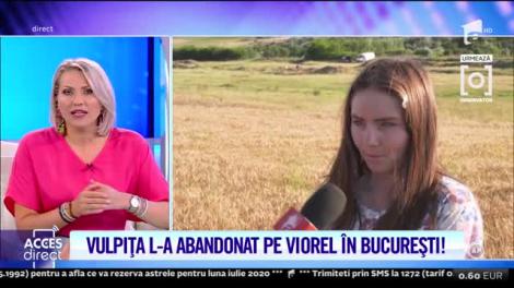Vulpița a ajuns la Blăgești! Ce intenționează Veronica să facă de acum înainte! | Video