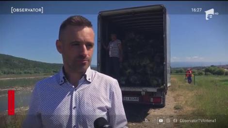 Gunoaiele de pe Jiu, pescuite din bărci