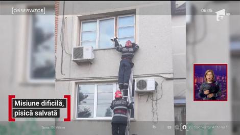 Operațiune dificilă pentru salvarea unei pisici