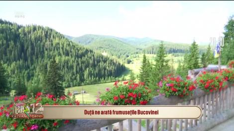 Cum arată raiul din Bucovina! Locul care îți taie respirația și care este mai aproape de tine, decât orice altă destinație de vacanță din străinătate! |VIDEO