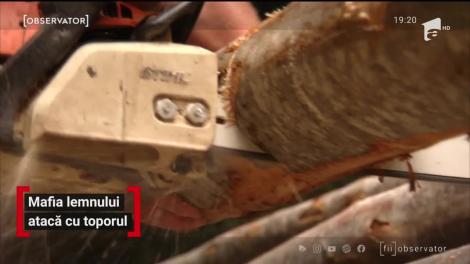 Activist de mediu din Moldoviţa, atacat în timp ce făcea dezvăluiri în direct, pe Facebook, despre furtul din codru