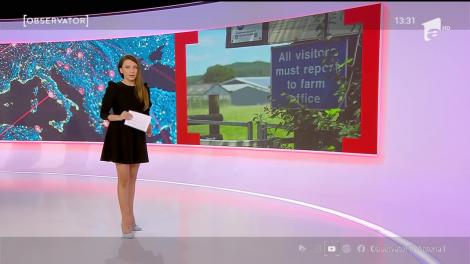 Orașe din toată lumea, din nou în carantină. Peste 200 de mii de infectări au fost raportate zilnic