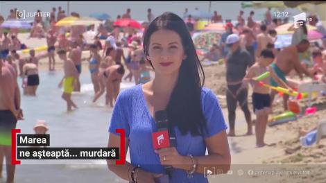 Invazie de alge, pe plajele românești