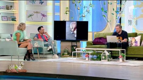 Smiley News: De la prea multe alune sărate, o veveriță cerșește apă de la oameni