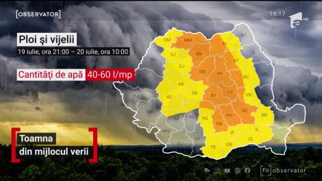 Ploile torențiale au făcut ravagii în țară. Puhoaiele au intrat în curți și-n case, iar copacii smulşi de vânt au blocat drumuri