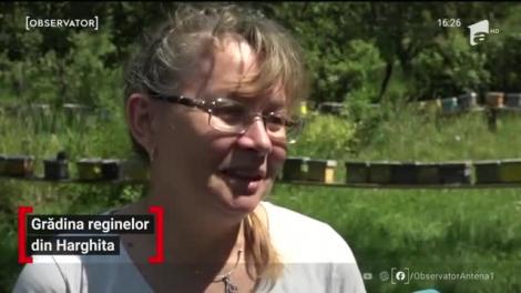 În Hunedoara o familie de apicultori a creat Grădina Reginelor