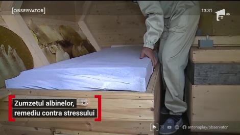 Un apicultor din Mureș a pus pe picioare o afacere vindecătoare cu albine