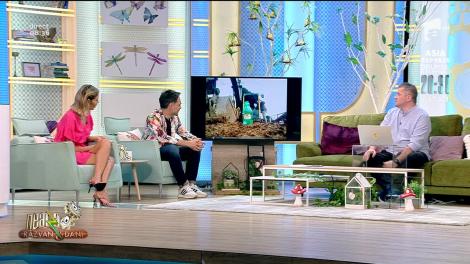 Smiley News: Cum să pui dopul unei sticle cu macaraua