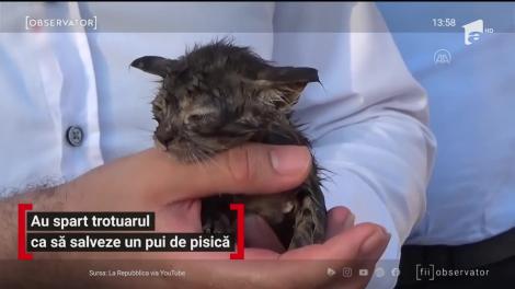 Un pui de pisică, blocat într-un canal, a fost salvat de echipajele de intervenție din Turcia